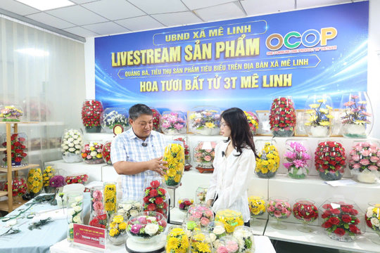 Xã Mê Linh ứng dụng công nghệ số vào phát triển kinh tế làng nghề