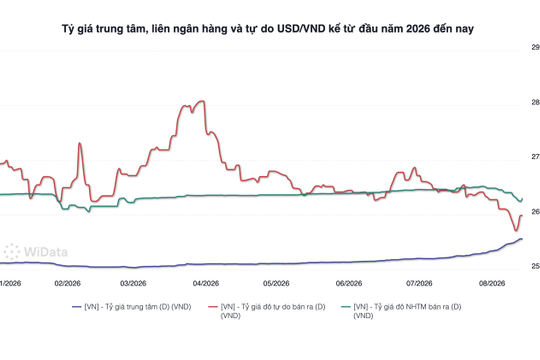 Tỷ giá trung tâm giảm, áp lực USD chưa hạ nhiệt