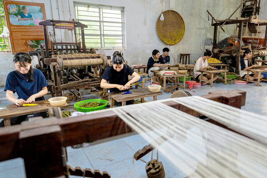 Lụa tơ sen Phùng Xá