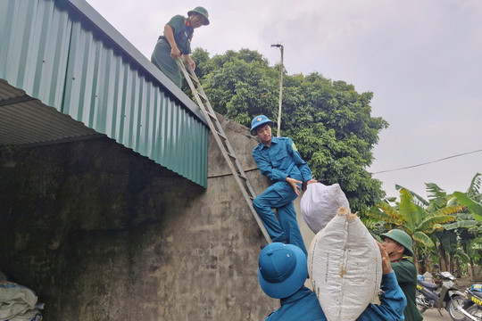Người dân vùng ngoài đê sông Hồng chủ động ứng phó lụt bão