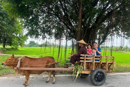 Độc đáo trải nghiệm xe bò khám phá làng cổ Đường Lâm