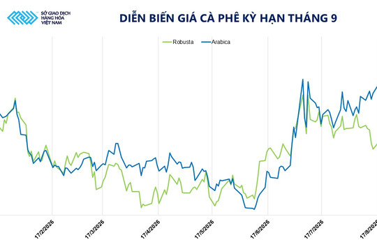 Sắc xanh bao phủ thị trường, MXV-Index tăng 60 điểm