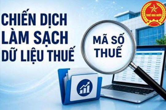 Chấn chỉnh nạn nhũng nhiễu, vòi vĩnh trong xử lý làm sạch mã số thuế
