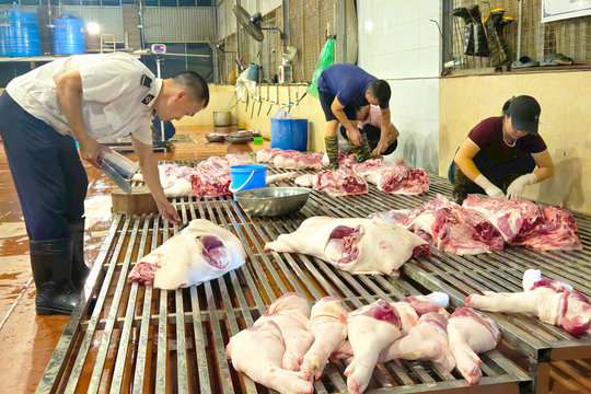 Vận hành hiệu quả mô hình giết mổ tập trung tạm thời