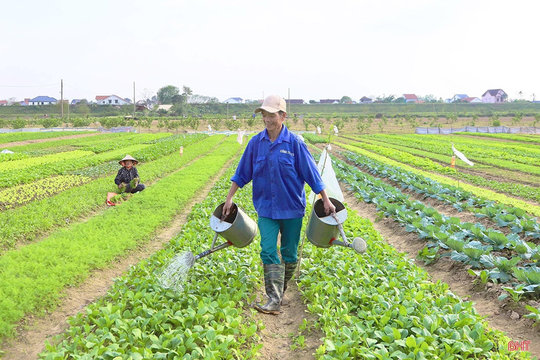 Bảo đảm khung thời vụ với cơ cấu dịch chuyển tích cực