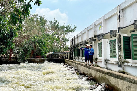 Chủ động tiêu úng, bảo vệ lúa và rau màu
