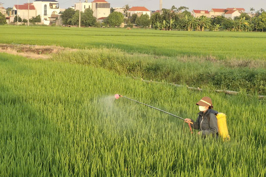 Xã Phú Xuyên hỗ trợ người dân phòng trừ sâu bệnh bảo vệ lúa mùa