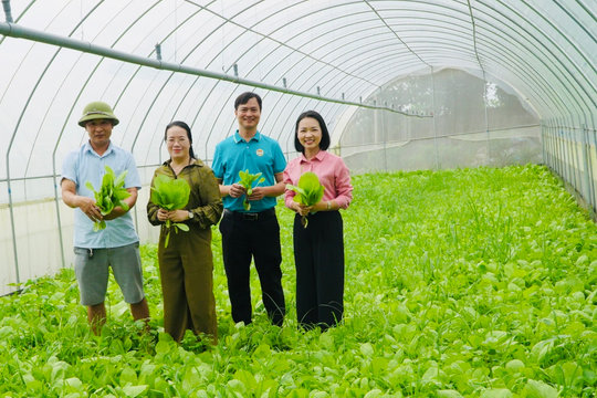 Phó Chủ tịch Ủy ban MTTQ Việt Nam thành phố, Chủ tịch Hội Nông dân thành phố Hà Nội Phạm Hải Hoa: Xây dựng những hạt nhân nông dân số ngay tại cơ sở