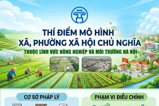 Thí điểm mô hình “xã, phường Xã hội chủ nghĩa” thuộc lĩnh vực nông nghiệp và môi trường trên địa bàn thành phố Hà Nội