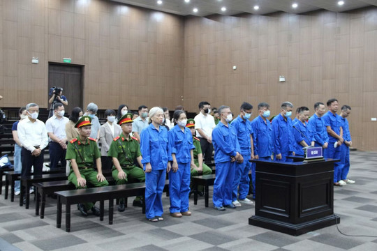 Đề nghị mức án với Chủ tịch Công ty Hoàng Long