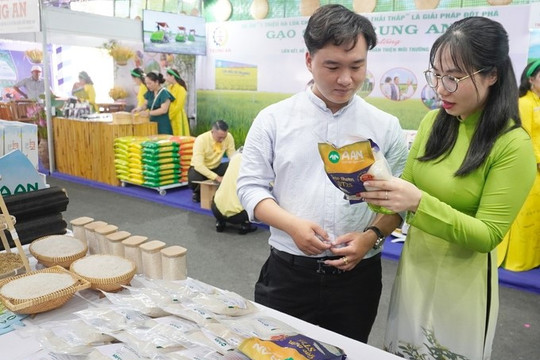 Xuất khẩu gạo: Chuyển lợi thế từ giá cả sang chất lượng và thương hiệu