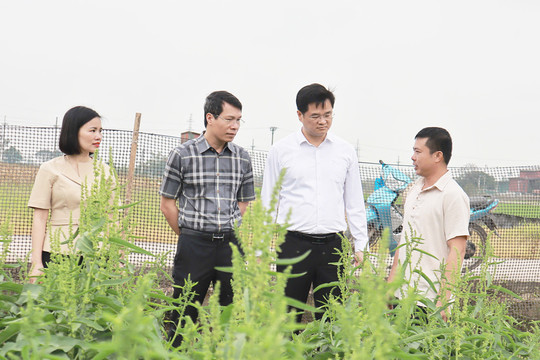 Hà Nội xây dựng nông thôn mới giai đoạn 2026-2030: Chủ động rà soát, rõ người, rõ việc