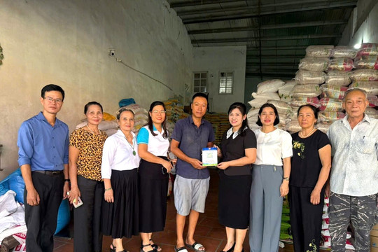 Khơi thông nguồn lực cho hộ kinh doanh: Chính sách cần đồng bộ, tương xứng và khả thi