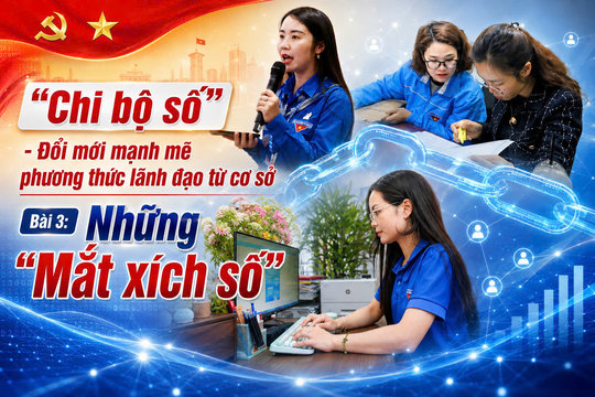 Bài 3: Những "mắt xích số"