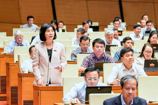 Chủ tịch HĐND thành phố Hà Nội Phùng Thị Hồng Hà: Phải nhìn rõ khả năng cân đối vốn trước khi quyết định danh mục đầu tư