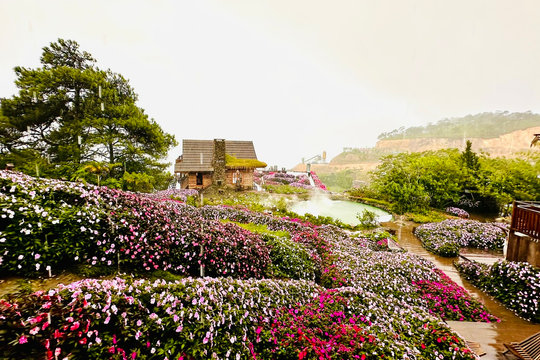 Từ Thủ đô đến đại ngàn: Mở rộng hành trình trải nghiệm du lịch Hà Nội - Lâm Đồng