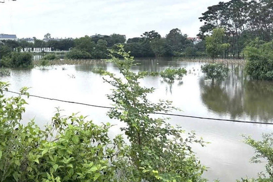 Hà Nội: Lũ sông Cà Lồ vượt mức báo động, 7 xã ven sông chủ động ứng phó
