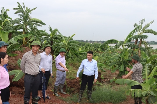 Xã Phú Xuyên trực 24/24h, tiêu úng khẩn cấp cho 230 ha lúa sau bão số 4