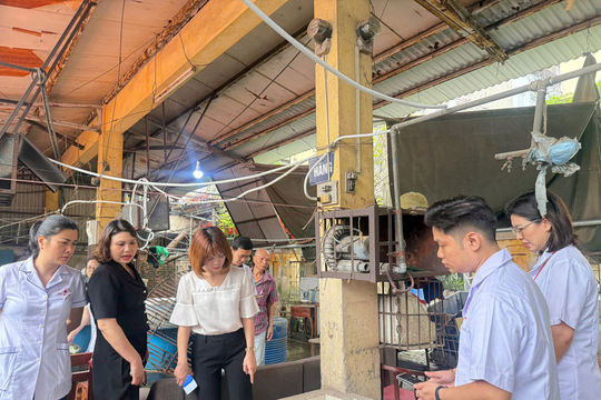 Phường Thanh Xuân tăng cường phòng, chống sốt xuất huyết trong mùa mưa