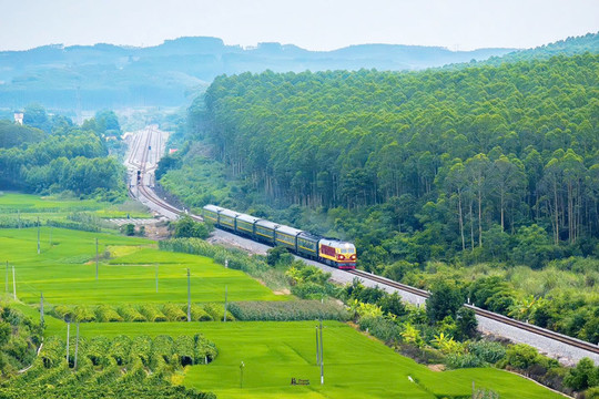 Ngừng chạy tàu liên vận Trung Quốc do ảnh hưởng mưa lũ