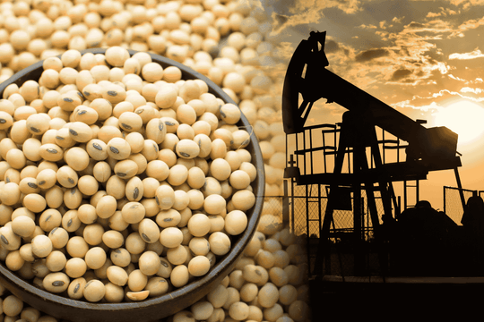 MXV-Index tăng 4,3%, thị trường hàng hóa khởi sắc tuần qua