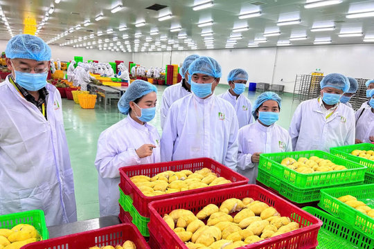 Đẩy nhanh kết nối, liên thông dữ liệu truy xuất nguồn gốc nông sản