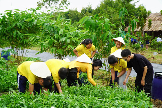 Tìm giá trị kinh tế trong thất thoát thực phẩm, bài học từ Đan Mạch