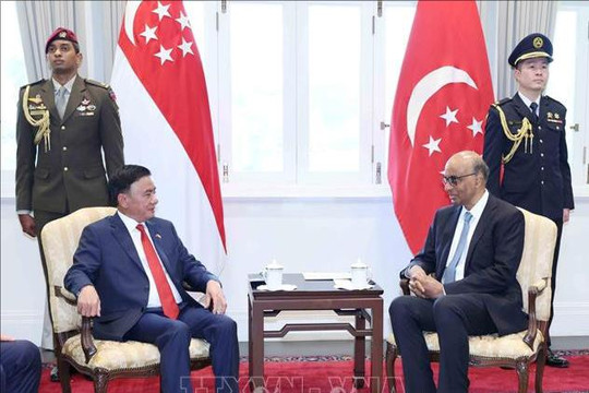 Đưa quan hệ Đối tác Chiến lược toàn diện Việt Nam - Singapore đi vào chiều sâu, thực chất