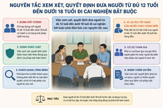 Nguyên tắc quyết định đưa người từ đủ 12 tuổi đến dưới 18 tuổi cai nghiện bắt buộc