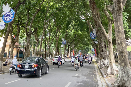 Bắc Bộ có mưa rào và dông rải rác