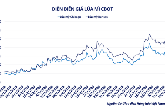 MXV-Index lên 2.900 điểm, lúa mì tăng 43% sau một năm
