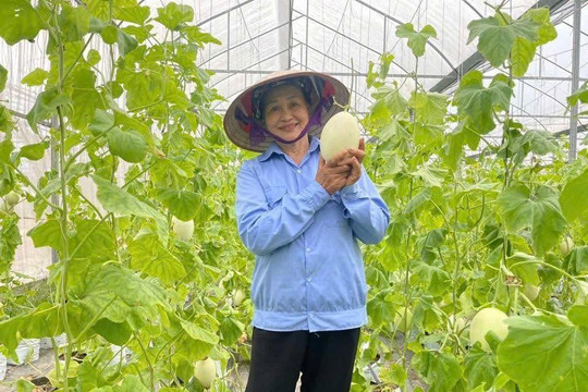 Nông sản Thủ đô chinh phục thị trường từ minh bạch nguồn gốc