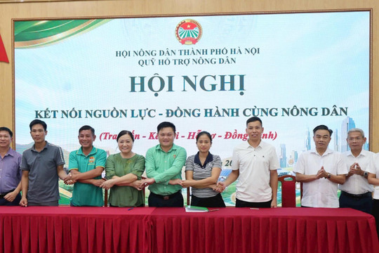 Hà Nội: Đồng hành cùng nông dân làm giàu từ chăn nuôi bò sữa