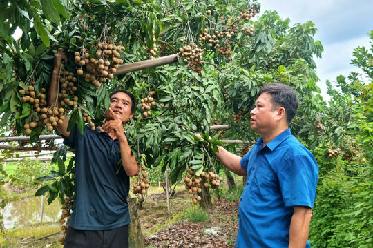 Những mô hình sản xuất nông nghiệp hiệu quả ở Hòa Xá