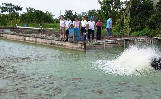 Ứng Thiên: Tập trung tháo gỡ “điểm nghẽn”, tăng tốc phát triển