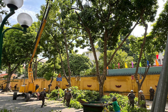 Giữ những mảng xanh trên phố