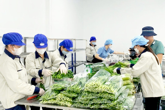 Hà Nội xây dựng hệ sinh thái dữ liệu, kiểm soát an toàn thực phẩm từ gốc