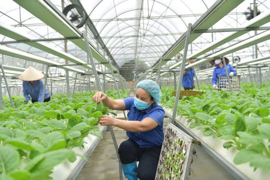 Xanh hóa nền kinh tế, mở dư địa tăng trưởng