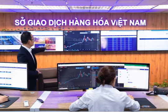 Thị trường hàng hóa Việt Nam chuyển mình sau 16 năm