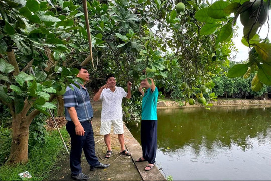 Vốn chính sách – điểm tựa cho sinh kế người dân