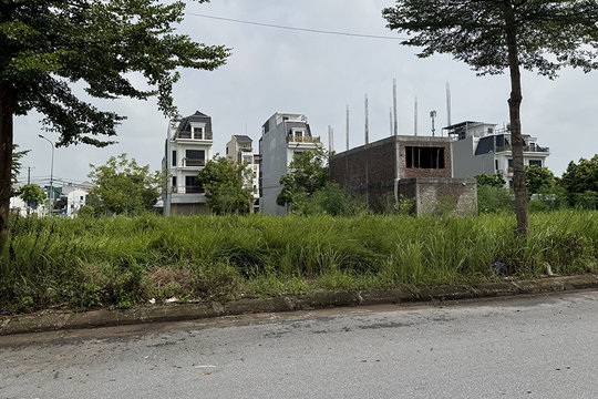 Dự án Khu nhà ở Thuần Nghệ dang dở đến bao giờ?