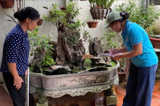 Xã Đan Phượng chú trọng vệ sinh môi trường, phòng chống sốt xuất huyết