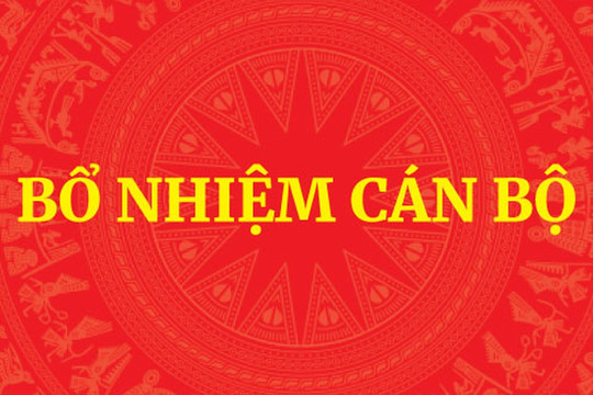 Thủ tướng điều động, bổ nhiệm nhân sự cấp cao 4 bộ, cơ quan