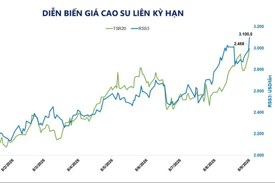 Dầu Brent và cao su tăng giá, MXV-Index lên 2.981 điểm