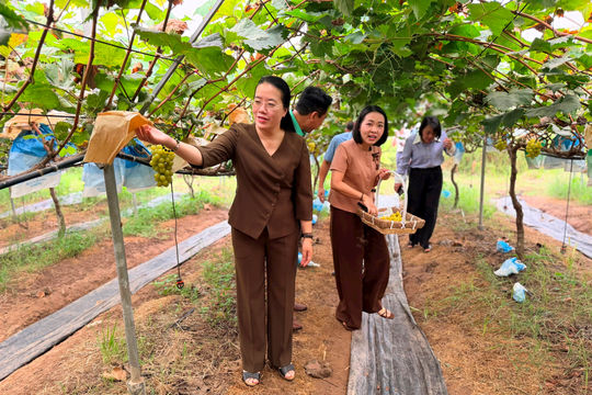 Xã Phúc Thịnh: Đổi mới kinh tế nông nghiệp, tạo nền tảng xây dựng "xã xã hội chủ nghĩa"