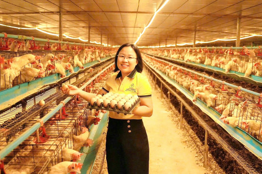 Nữ nông dân xuất sắc Nguyễn Thị Hồng: Hành trình đến với chuỗi giá trị nông nghiệp xanh