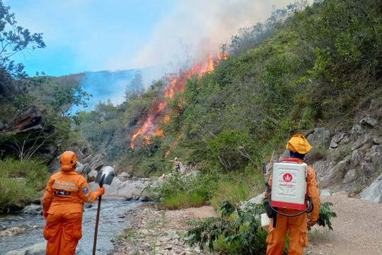 Cháy rừng tại Colombia thiêu rụi khu vực 3.000 ha
