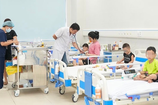 Bé trai 8 tuổi sốc phản vệ nguy kịch sau khi bị ong vò vẽ đốt