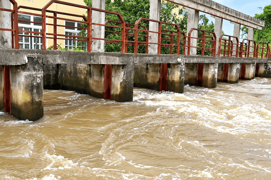 Giữ mùa vàng từ những dòng kênh