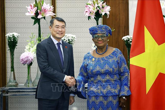 Thủ tướng Lê Minh Hưng đề nghị WTO tiếp tục hỗ trợ Việt Nam nâng cao năng lực cạnh tranh